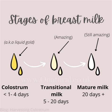 when does colostrum start leaking|Colostrum Harvesting: How It Works, What To Do